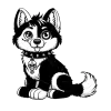 A black and white stitched up zombie husky dog